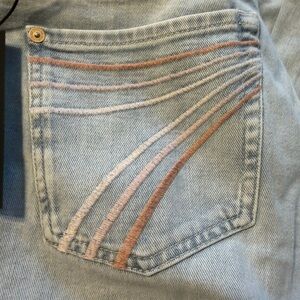7 For All Mankind Light Blue Jeans with Pink Embroidery Size 27 inseam 31” NWT